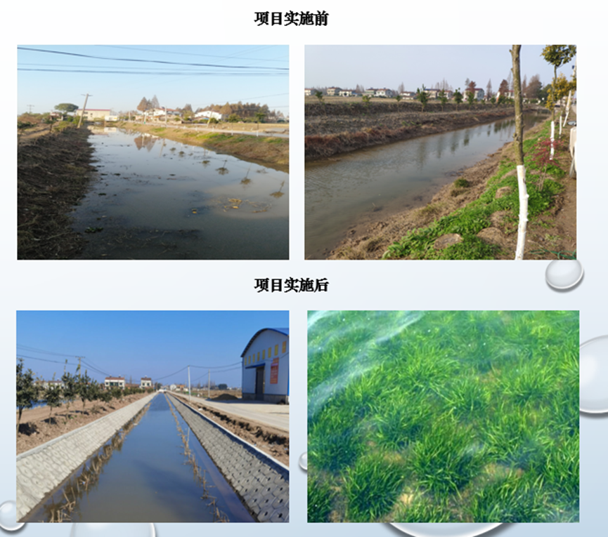 1649407869102530.png image.png