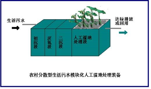 1664420421198371.jpg 11.jpg