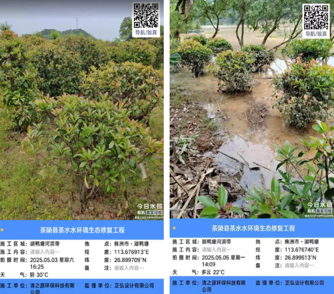 1747971129462835.png image.png