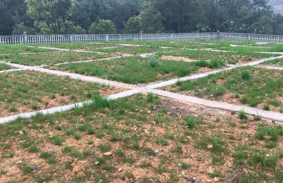 農村環境綜合整治解決方案哪家做得好？